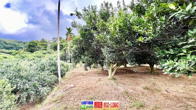 新竹峨眉農地-11