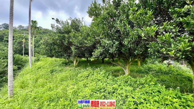 新竹峨眉農地-12