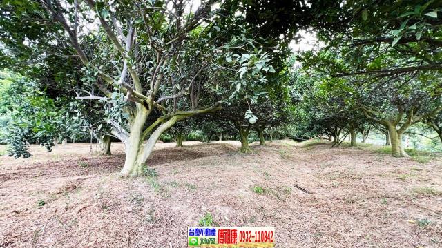 新竹峨眉農地-4