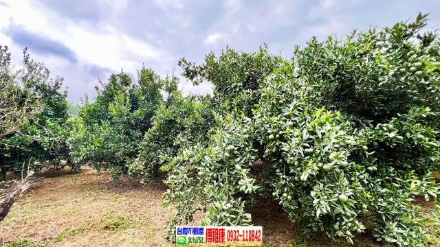 新竹峨眉農地-6