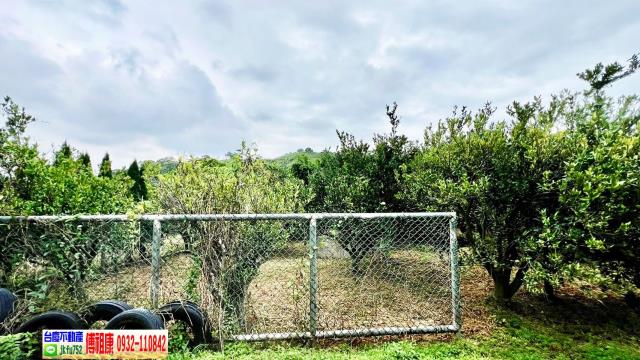 新竹峨眉農地-8