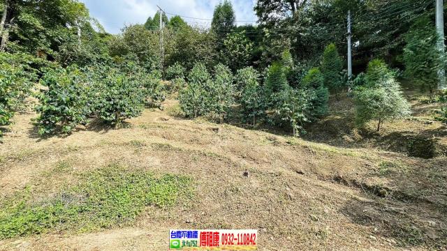 橫山林地-10