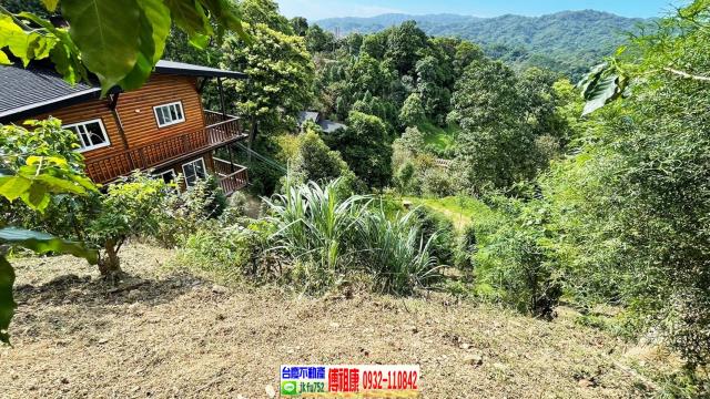 橫山林地-14
