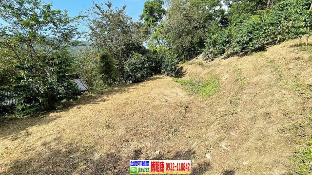 橫山林地-2