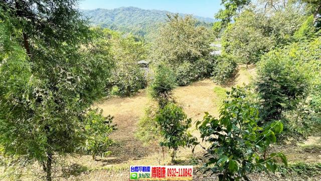 橫山林地-4