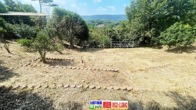 新竹農地-13