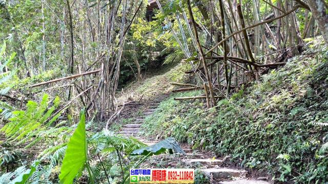 新竹林地-13