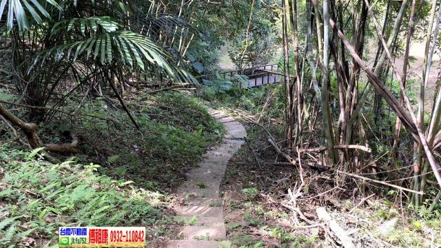 新竹林地-14