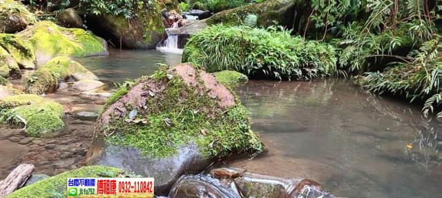 新竹北埔農地-12