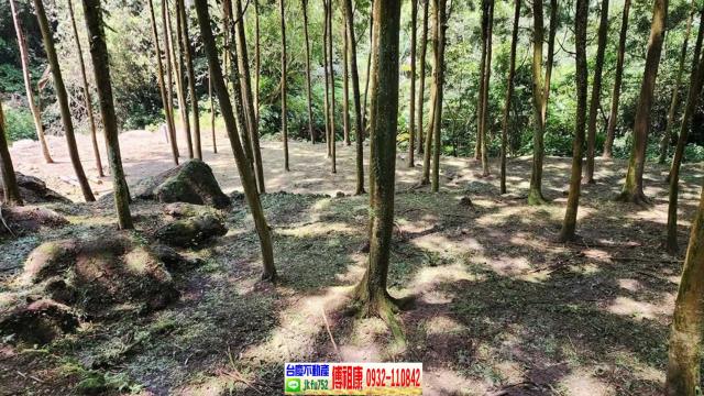 新竹北埔農地-3