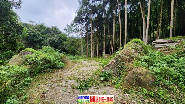 新竹北埔農地-4