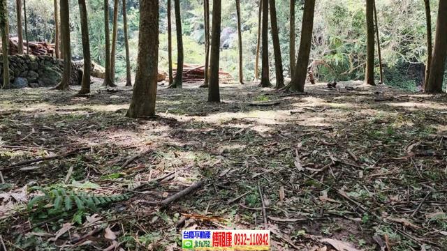 新竹北埔農地-6