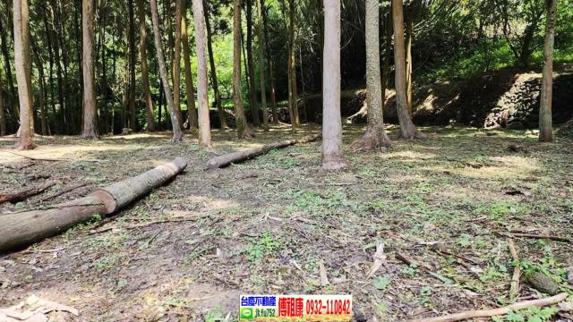 新竹北埔農地-8