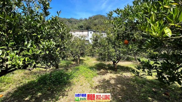 新竹芎林農地-12
