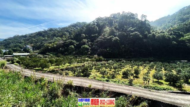 新竹芎林農地-14
