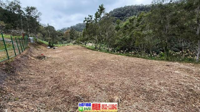 新竹竹東農地-6
