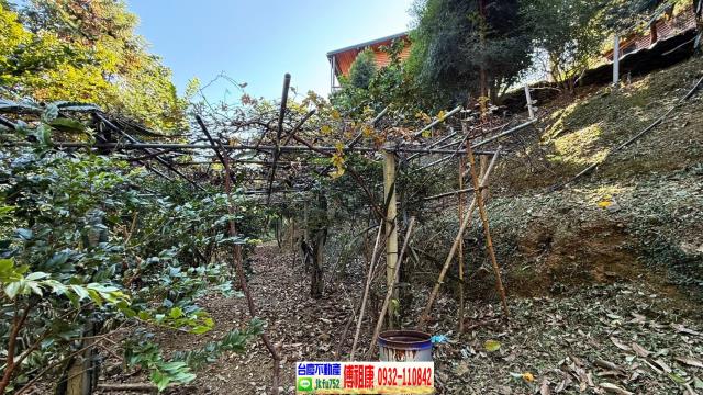 新竹橫山休閒地-11