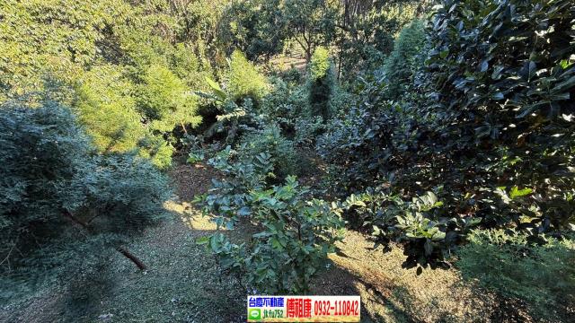 新竹橫山休閒地-13