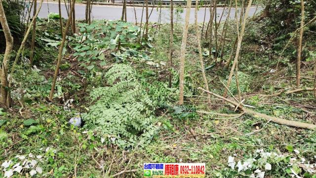 新竹橫山農地-9