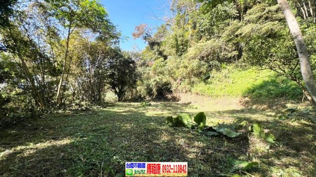 新竹橫山農地-1