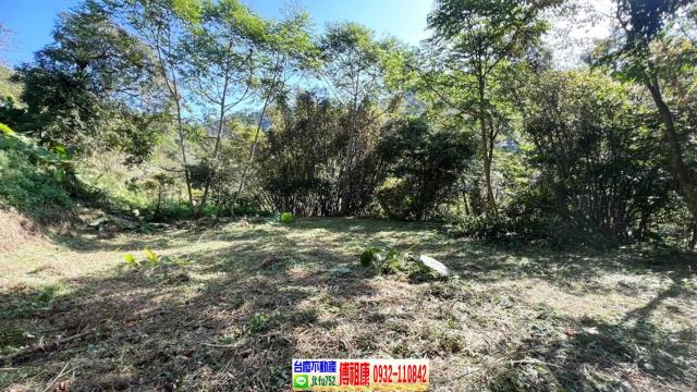 新竹橫山農地-3