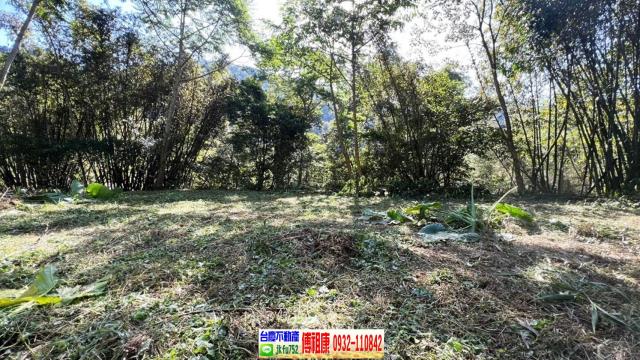 新竹橫山農地-4
