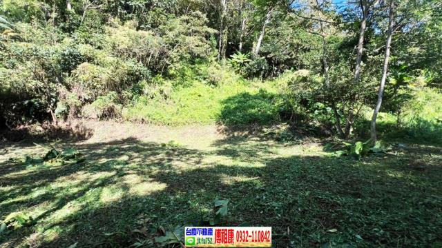 新竹橫山農地-5