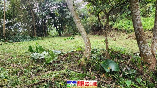 新竹橫山農地-6