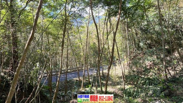 新竹橫山農地-8