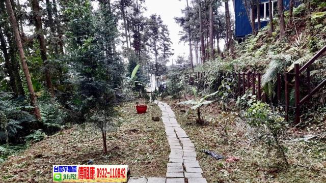 新竹北埔林地-10