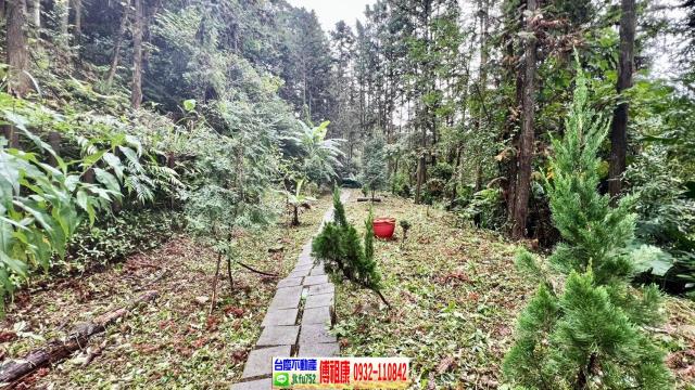 新竹北埔林地-11