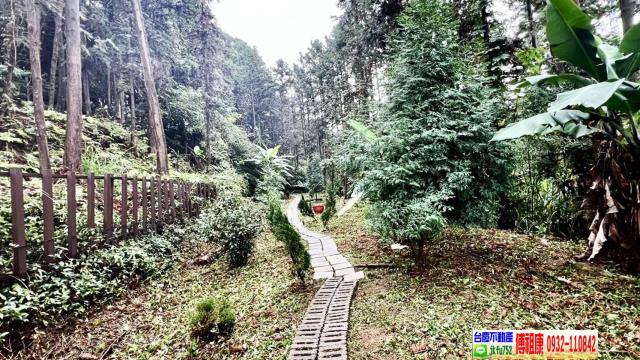 新竹北埔林地-12