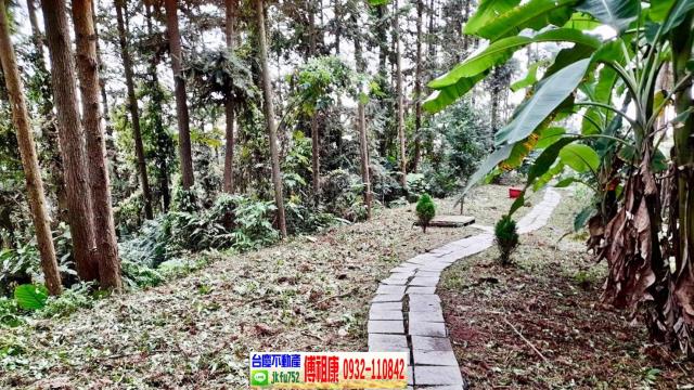 新竹北埔林地-13