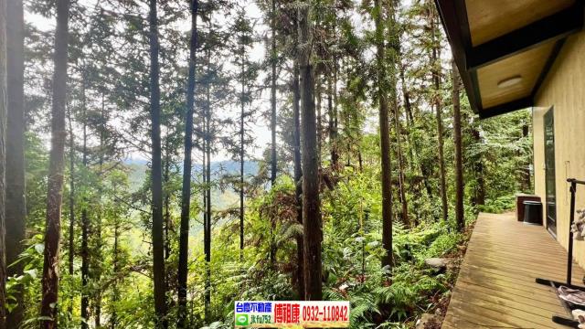 新竹北埔林地-2
