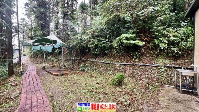 新竹北埔林地-3