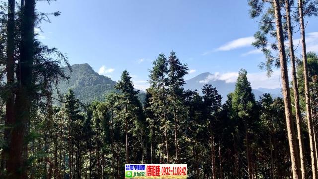 新竹北埔林地-8