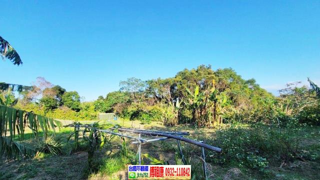 苗栗農地-10