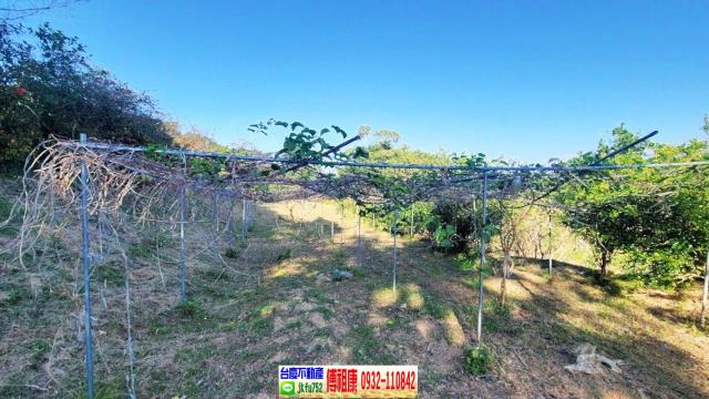 苗栗農地-12