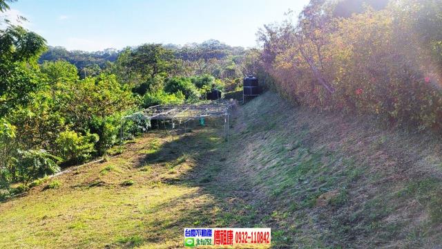 苗栗農地-13