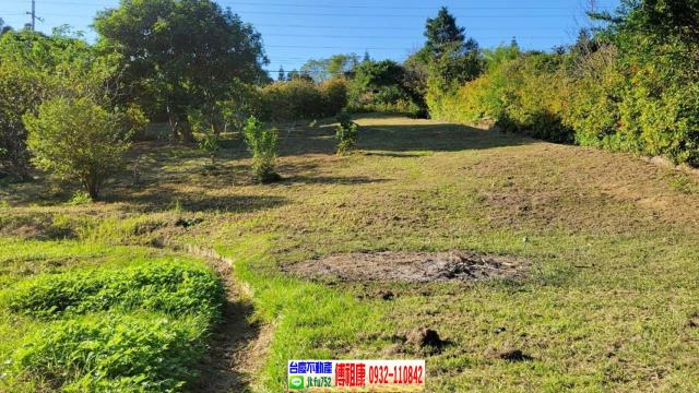 苗栗農地-3