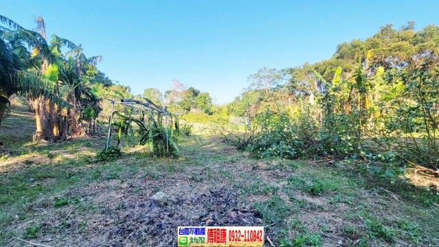 苗栗農地-4