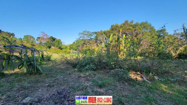 苗栗農地-6