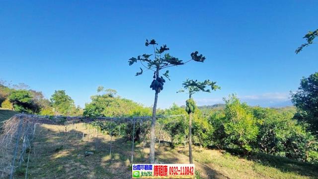 苗栗農地-7
