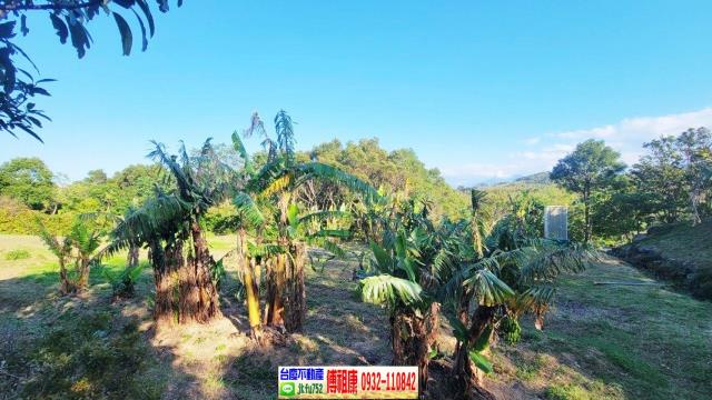 苗栗農地-8