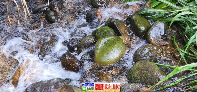 新竹農地-9