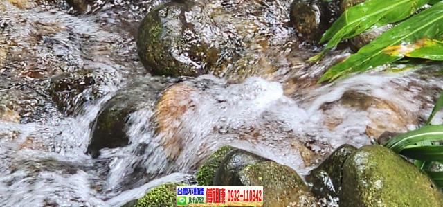 新竹農地-10