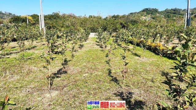 峨眉農地-9