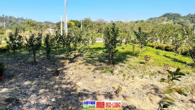 峨眉農地-12