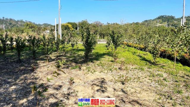 峨眉農地-6