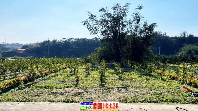 峨眉農地-7